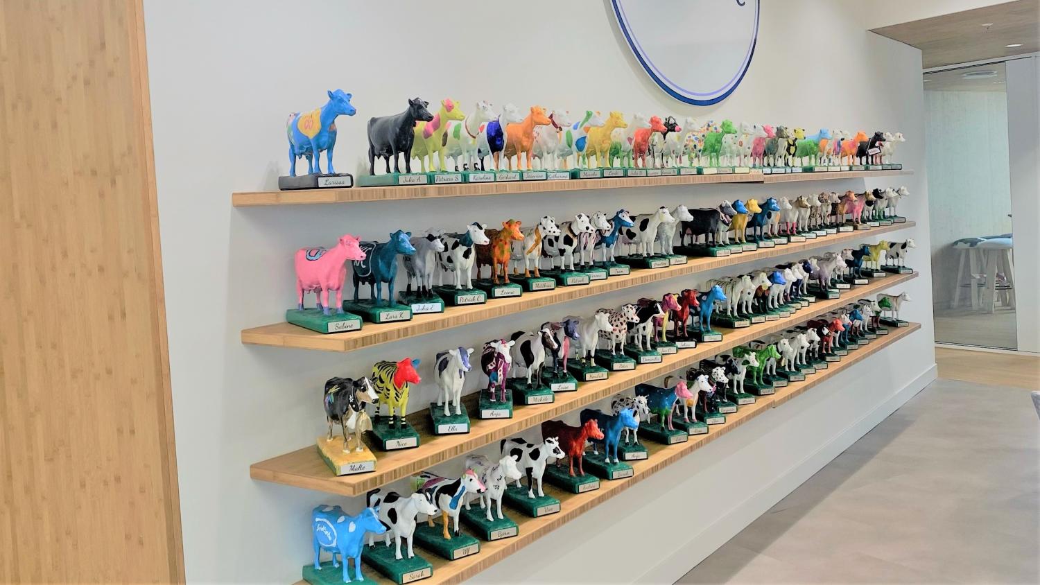 Cows